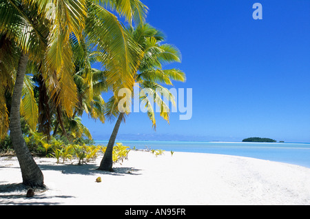 A picture postcard beach in remote Aitutaki atoll Cook Islands palm trees lined beach. Stock Photo