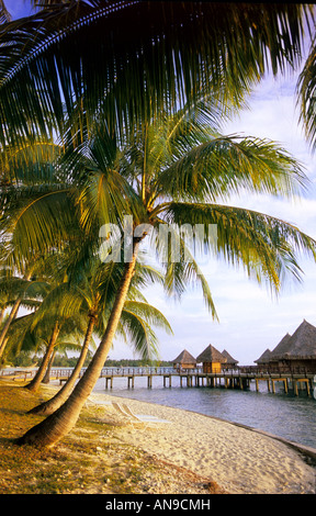 Picture postcard beach and over water bungalows on Rangiroa French Polynesia Stock Photo