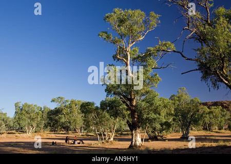 Aborigines gather under a eucalyptus tree in the dried up Todd River Alice Springs Australia Stock Photo