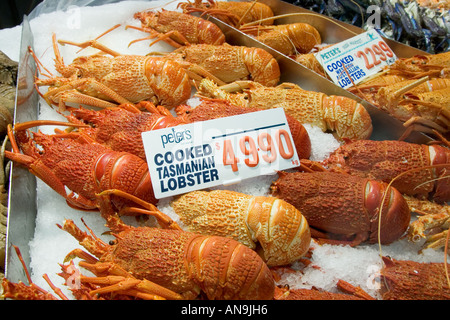 Cooked Tasmanian lobsters for sale at Sydney Fish Market Darling Harbour Australia Stock Photo