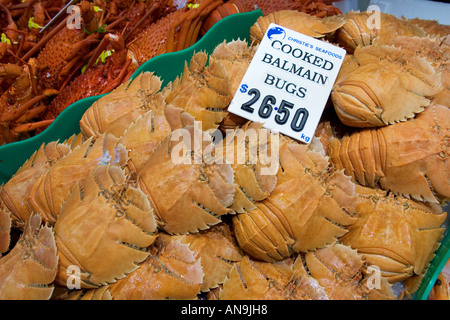 Cooked Balmain Bugs for sale at Sydney Fish Market Darling Harbour Australia Stock Photo