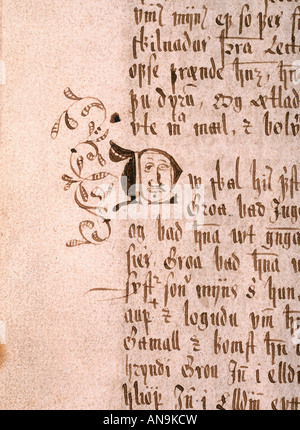 Icelandic Manuscript