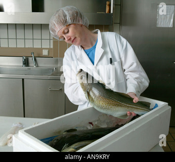Fish research in laboratory. Food Processing and Quality Control Fish ...