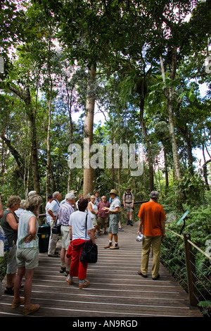 Tourists on boardwalk tour in Barron Gorge National Park North Queensland Australia Stock Photo