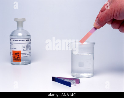 Blue litmus paper turns red in acid Stock Photo