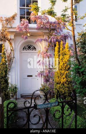 Wrought iron gate in front of white Victorian townhouse with mauve wisteria climbing over white front door Stock Photo
