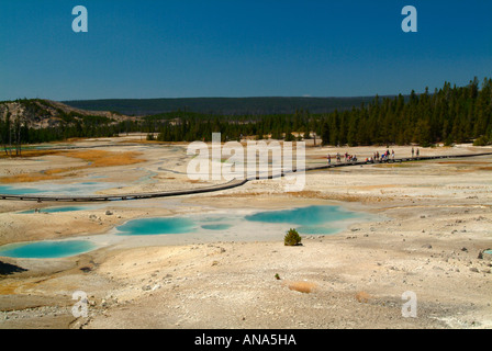 The Beautiful View of Porcelain Basin from Overlook at Norris Geyser Basin in Yellowstone National Park Wyoming USA Stock Photo
