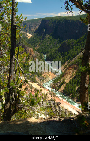 The Yellowstone River Flowing Through Grand Canyon Of the Yellowstone Viewed From Inspiration Point Stock Photo