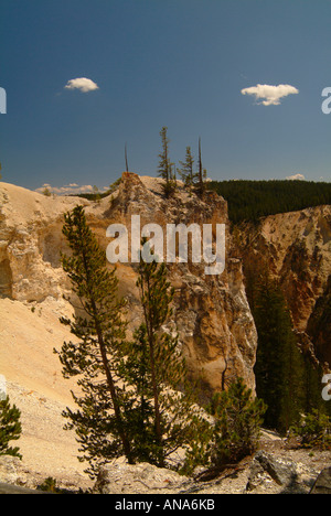 View of The Grand Canyon of the Yellowstone Near Lower Falls North Rim Wyoming USA Stock Photo