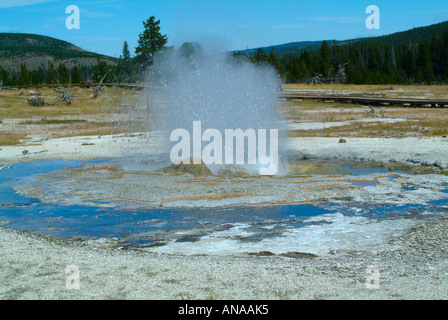 Steam and Boiling Water Erupt From Jewel Geyser at Midway geyser Basin in Yellowstone National Park Wyoming USA Stock Photo