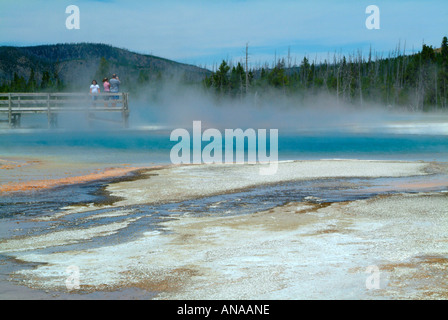 View Across Midway Geyser Basin in Yellowstone National Park with Steam and Raised Boardwalk for Tourist Viewing Wyoming USA Stock Photo