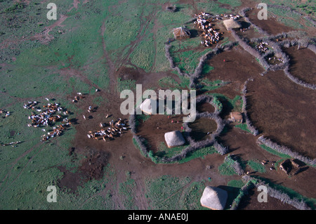 Aerial view of  Maasai manyatta with cattle Stock Photo