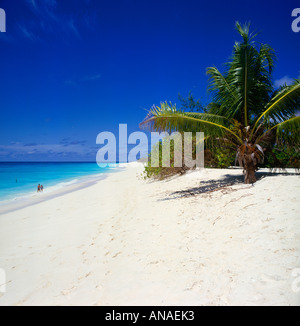 Couple strolling along in swimsuits on dreamlike desert island style beach Bird Island The Seychelles Stock Photo