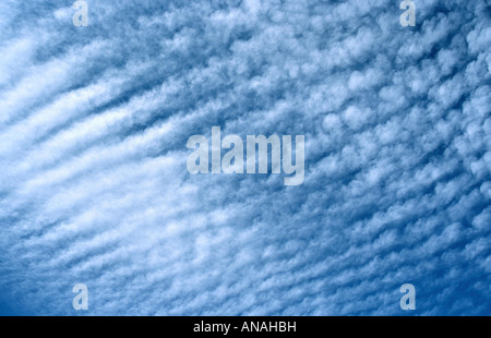 Altocumulus stratiformis - clouds, Namibia Stock Photo