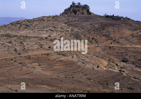Terraced farmland in the highlands of rural Ethiopia Stock Photo