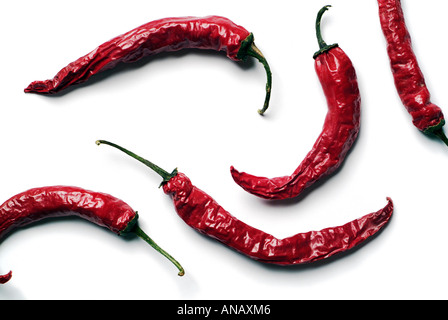 Red Chili Peppers Dried Against a White Background Stock Photo