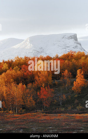 autumn scenery in the Abisko National Park, Sweden, Lapland, Norrbotten Stock Photo