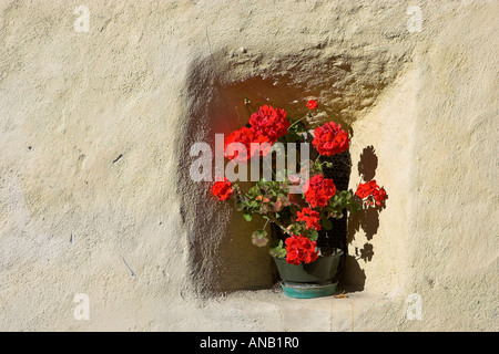 Flowers in an alcove of a medieval house, village of Glurns, Upper Vinschgau, South Tyrol, Italy Stock Photo