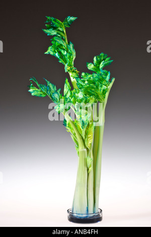 Capillary Action Observed in Celery, Celery Absorbing Blue Dye Stock Photo