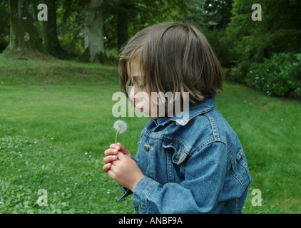 Young girl blowing dandelion seed head Stock Photo
