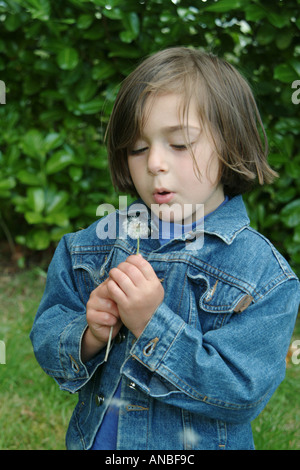 Young girl blowing dandelion seed head Stock Photo