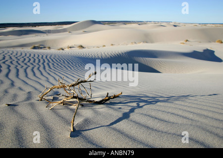 Sand dunes close to Eucla Stock Photo