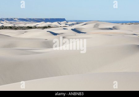 Sand dunes close to Eucla Stock Photo