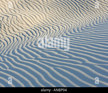 Sand dunes close to Eucla Stock Photo