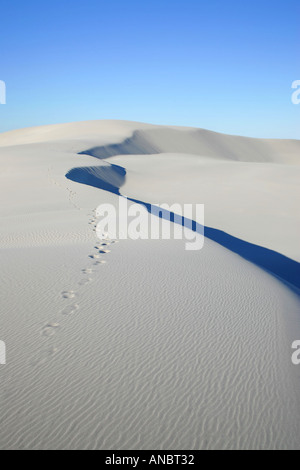 Sand dunes close to Eucla Stock Photo