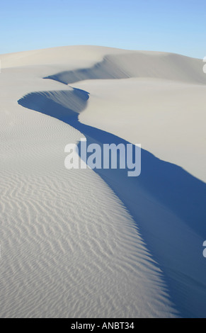Sand dunes close to Eucla Stock Photo