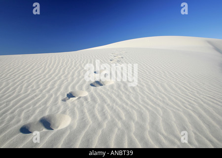 Sand dunes close to Eucla Stock Photo