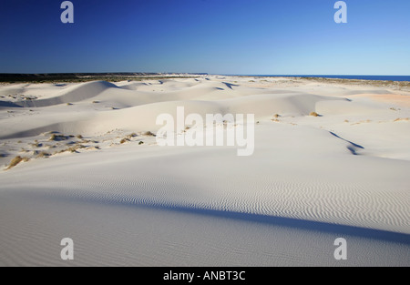 Sand dunes close to Eucla Stock Photo