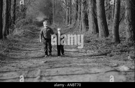 Two small boys walking towards camera along a track between two rows of trees Stock Photo