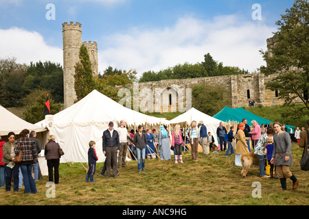 Spectators around stalls at Battle of Hastings re enactment 2007 Stock Photo