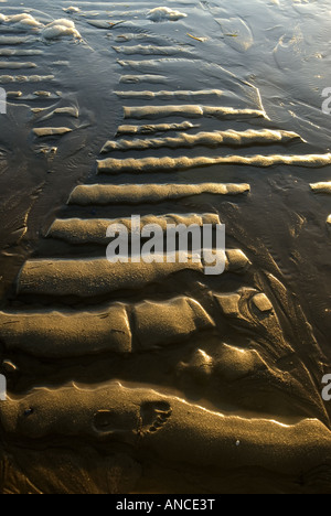 The change of the tide shapes the sand at the beach during an early summer morning in Cape Cod. Stock Photo