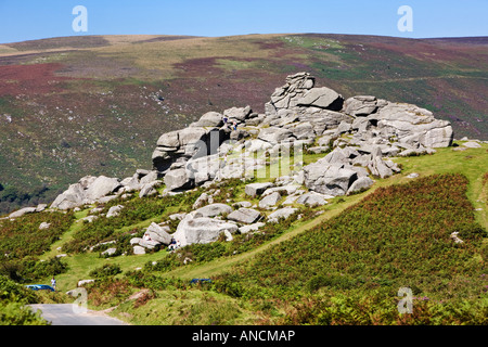 Bonehill rocks on Dartmoor, Devon, England UK Stock Photo