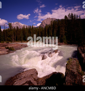 Kicking Horse River and Mt Stephen at 3199 metres high in Yoho National Park in the Canadian Rockies in British Columbia Canada Stock Photo