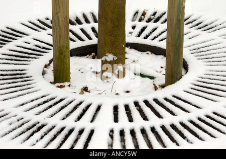 Beech tree and steel grating (LI) Stock Photo