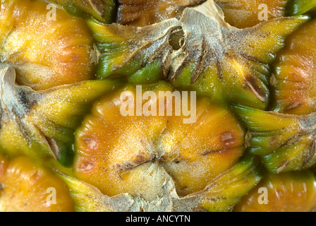 close-up pineapple Stock Photo