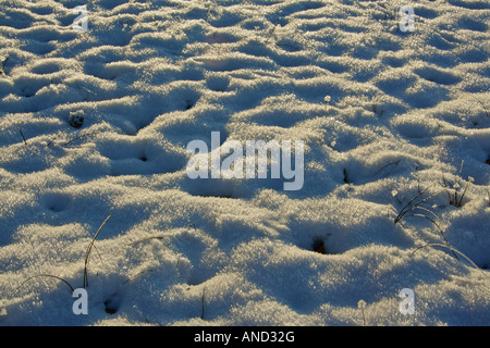 snow covered boulders on the ground Bavaria Germany Europe Stock Photo