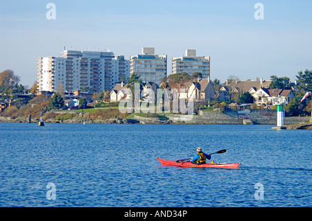 A lone kayaker paddles across the Inner Harbour bay in Victoria Vancouver Island BC Canada  BCX 0583 Stock Photo