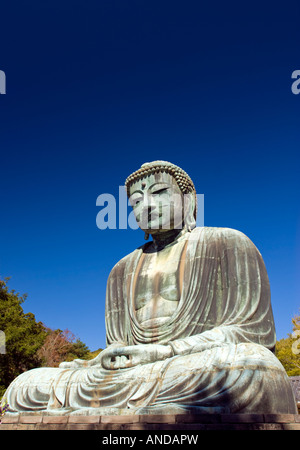 Great Buddha at Kotokuin Temple Kamakura in Japan Nov 2007 Stock Photo