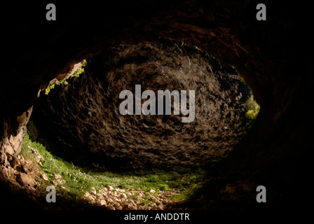 Mexican free-tailed bat (Tadarida brasiliensis) emerging from cave (long exposure) to show swarming pattern Stock Photo