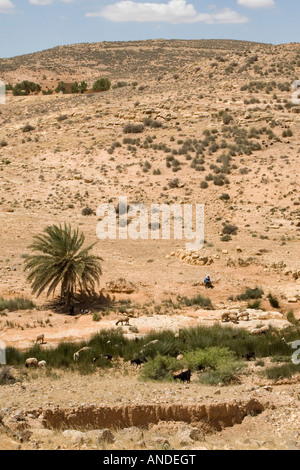 single pastors dating site