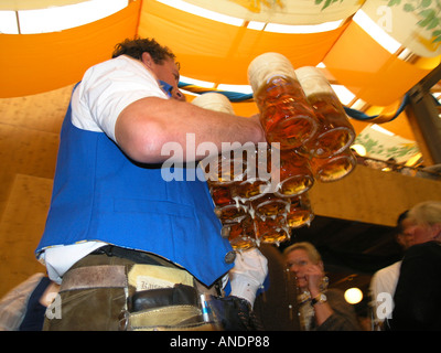 Waitress dressed in dirndl serving Liter glasses of beer in Oktoberfest Theresienwiese Munich Bavaria Germany Stock Photo