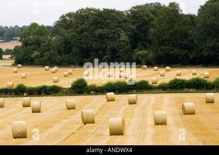 Straw bales in the Cotswolds at Swinbrook in Oxfordshire United Kingdom Stock Photo