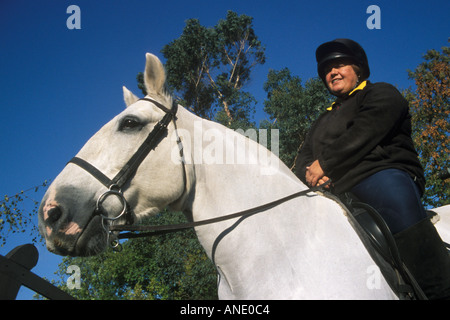 A White Horse and Rider Stock Photo