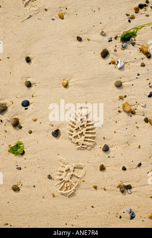 Footprint in the sand Cley Beach Norfolk United Kingdom Stock Photo
