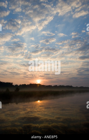 Mist over Hickling Broad Norfolk Broads United Kingdom