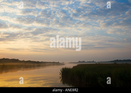 Mist over Hickling Broad Norfolk Broads United Kingdom